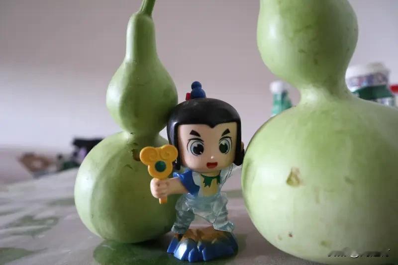 葫芦娃爷爷提前剪掉葫芦称需要休息 葫芦娃爷爷提前剪了葫芦，说自己得歇会儿，这事儿