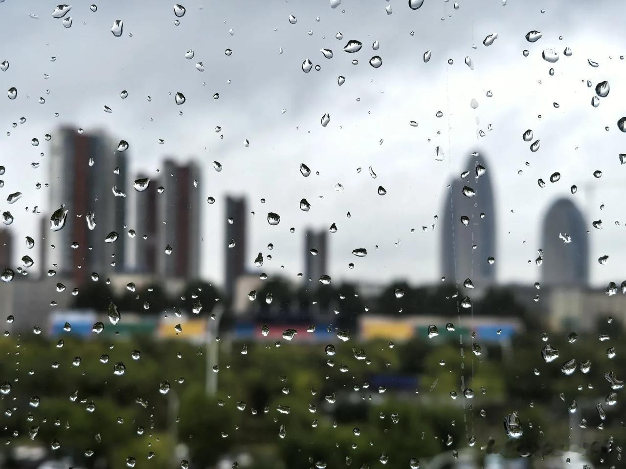  一场秋雨一场寒，昨晚下了一夜，今天中午才停下来，最低温度降至个位数，出门记着加