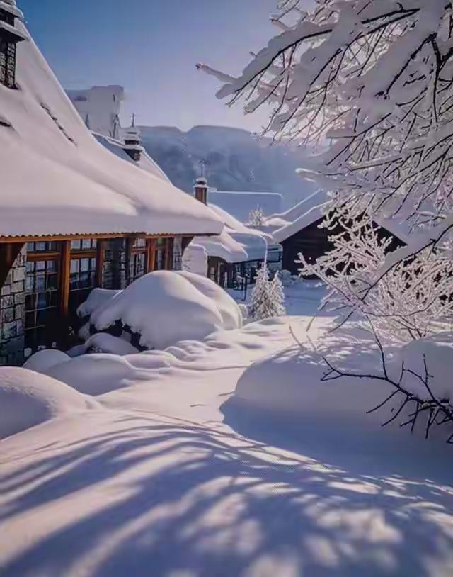 “不是不想嫁，是怕嫁错。
这句话在闺蜜群里刷屏，比红包还炸。
民政部刚甩出的数字