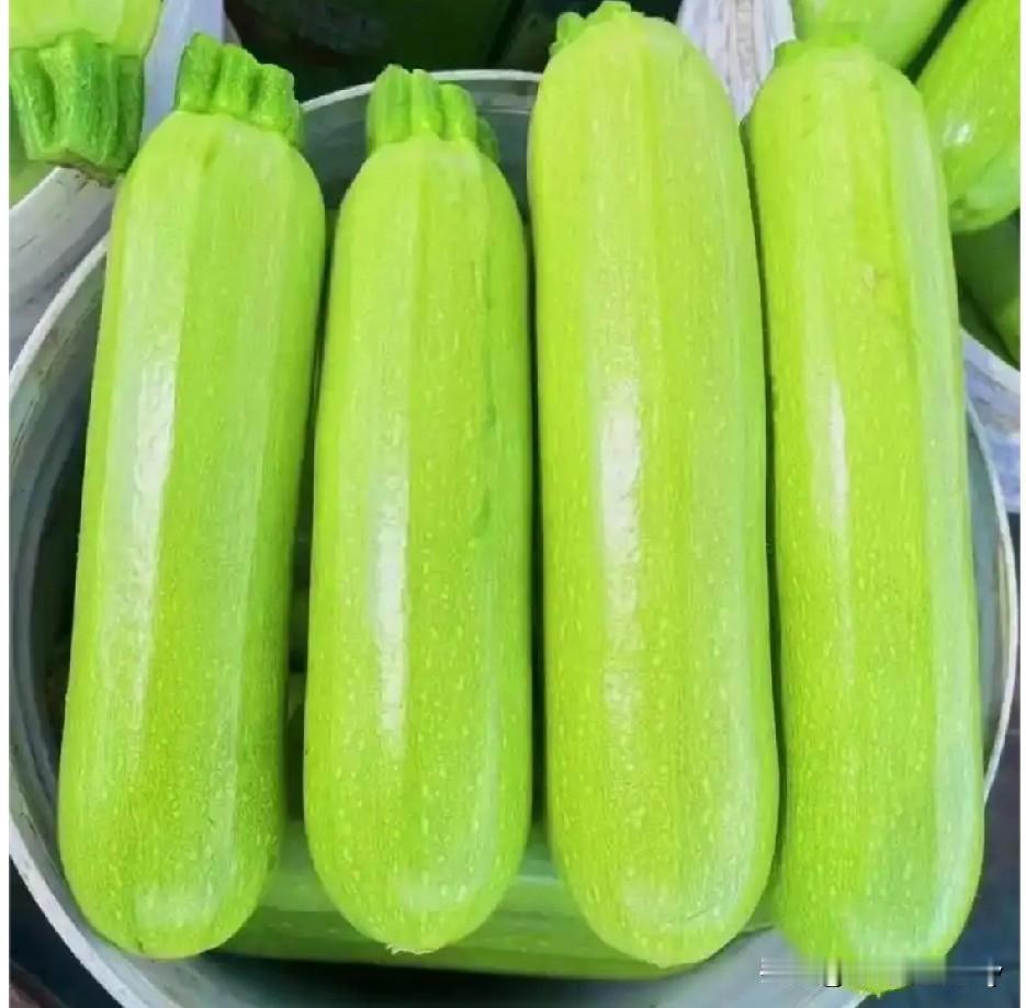 一包西葫芦种子，种在不同的地方，果实的颜色和长相差别还挺大的。造物主真有意思，真