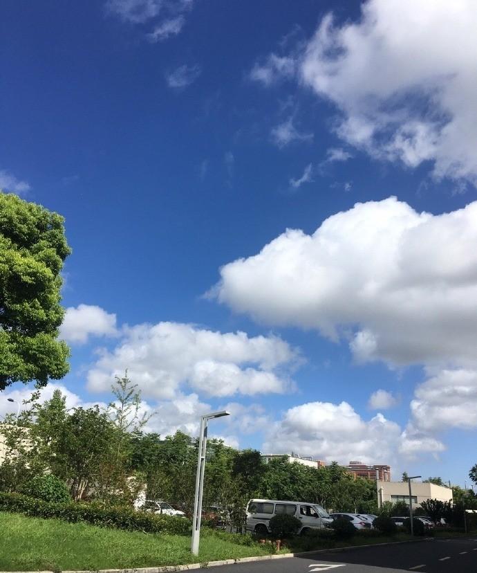 西医看着报告单说是抑郁症；中医把脉后叹句心脉受损；道士掐指一算，断定身边有小人作