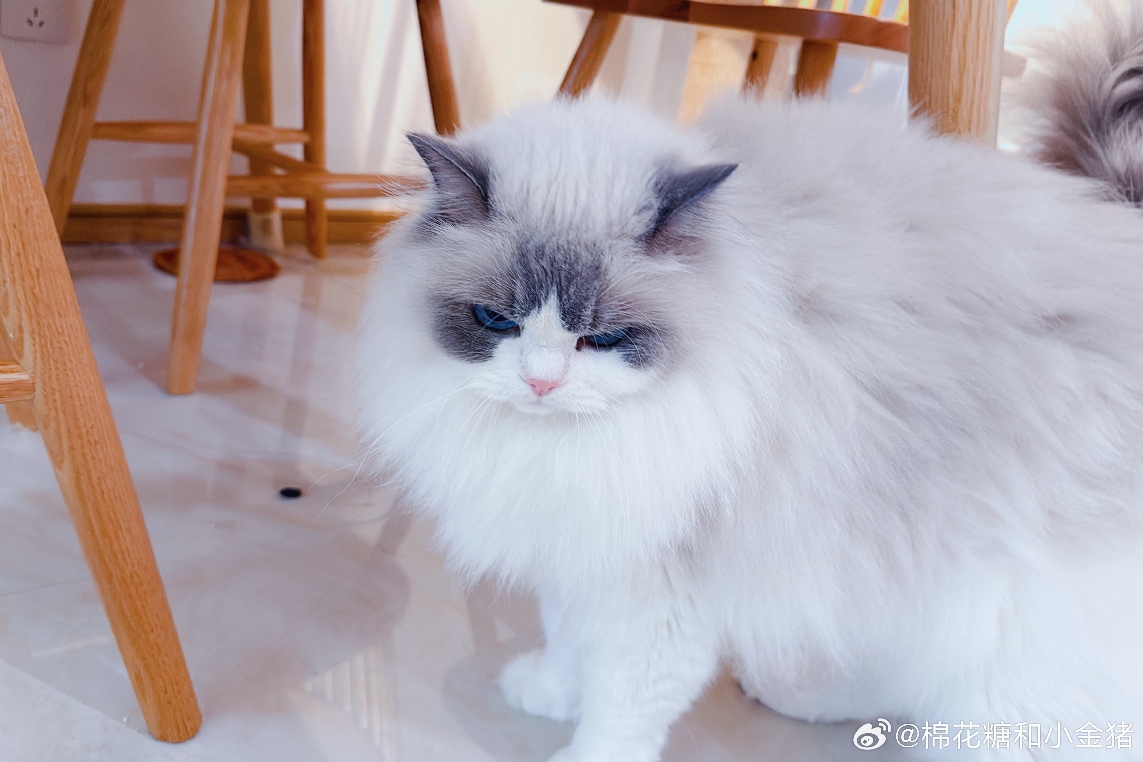 ………又不是我拉的！ 