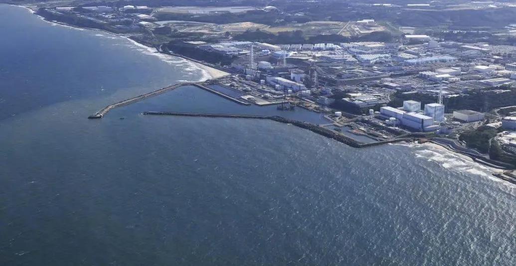 日本核污水排放的影响已经开始。
有个捕鱼的亲戚说这次禁渔期过后，到明年的禁渔期开