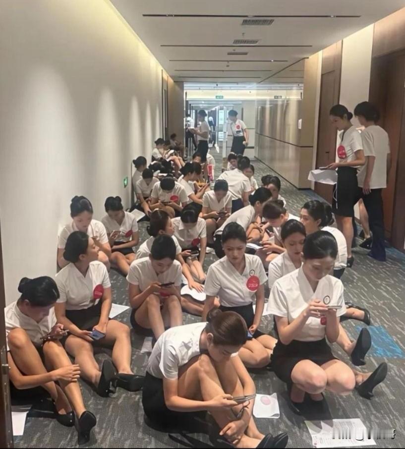 这是什么厂，做什么产品