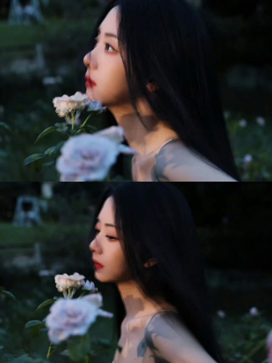 谭松韵吻花好美，凸显了清冷气质[微风] ​​​