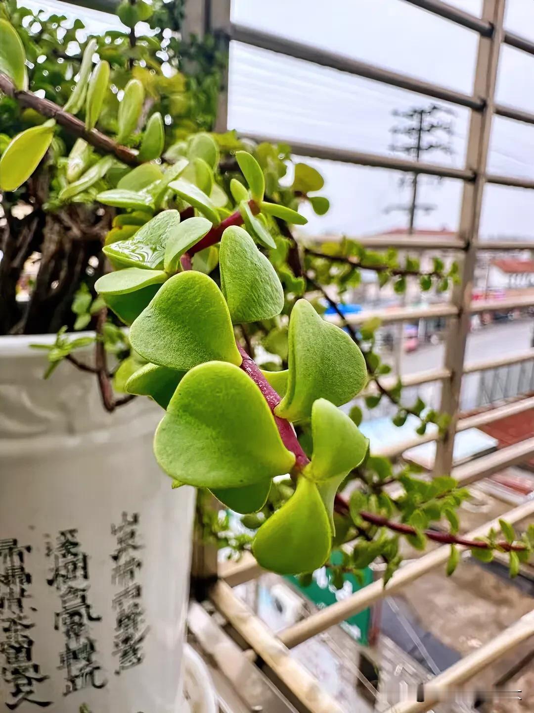 
只要来日可期，今天就值得欣喜.
