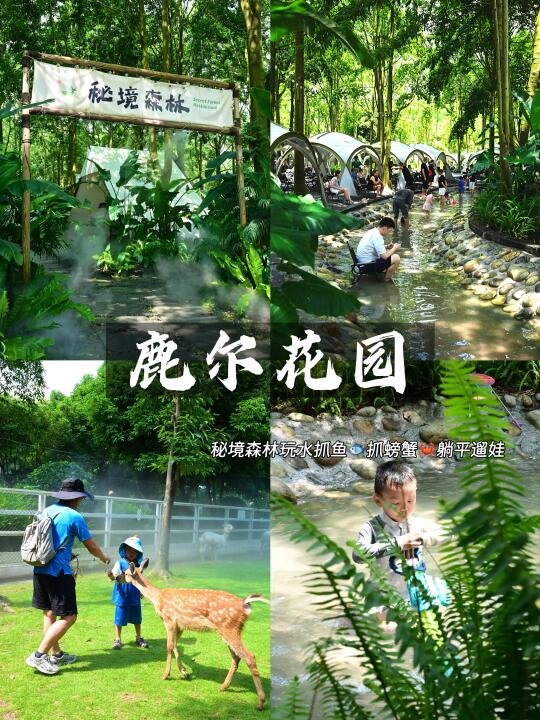 成都出发0.5h‼️ 藏在森林🌲里的夏日玩水地
