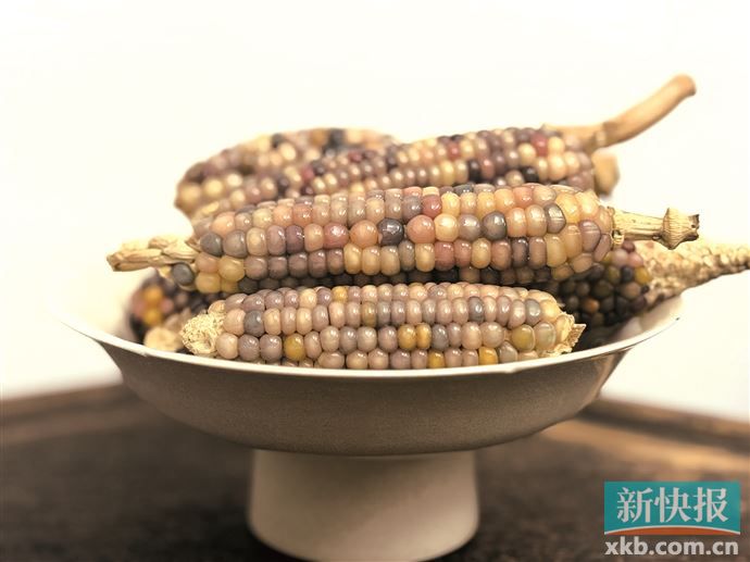 “文玩玉米”成年轻人“掌上新宠” 价格炒至数千元