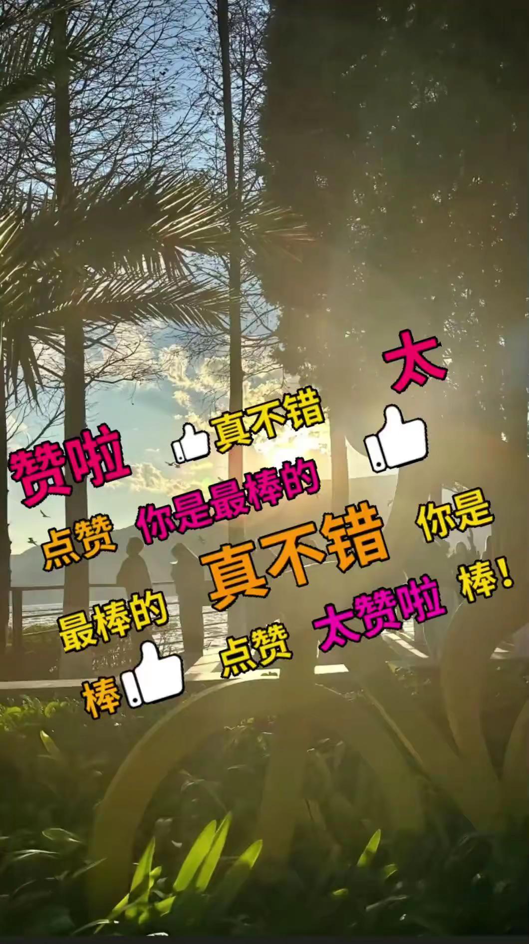 "我当奔赴我的热爱，邀万里长风为我喝彩"周深 周深献唱2026苏超 热烈盛开 苏