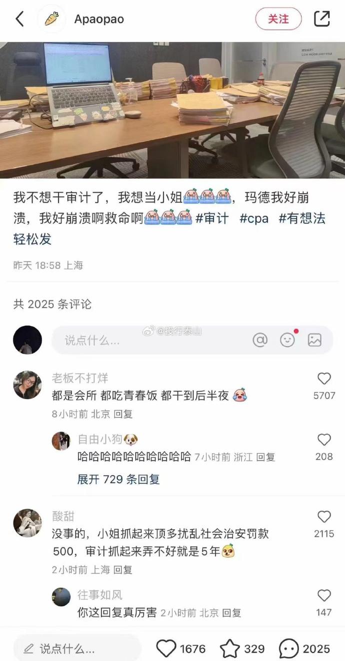 审计都把小姑娘逼疯了[不看]，评论区直接亮了