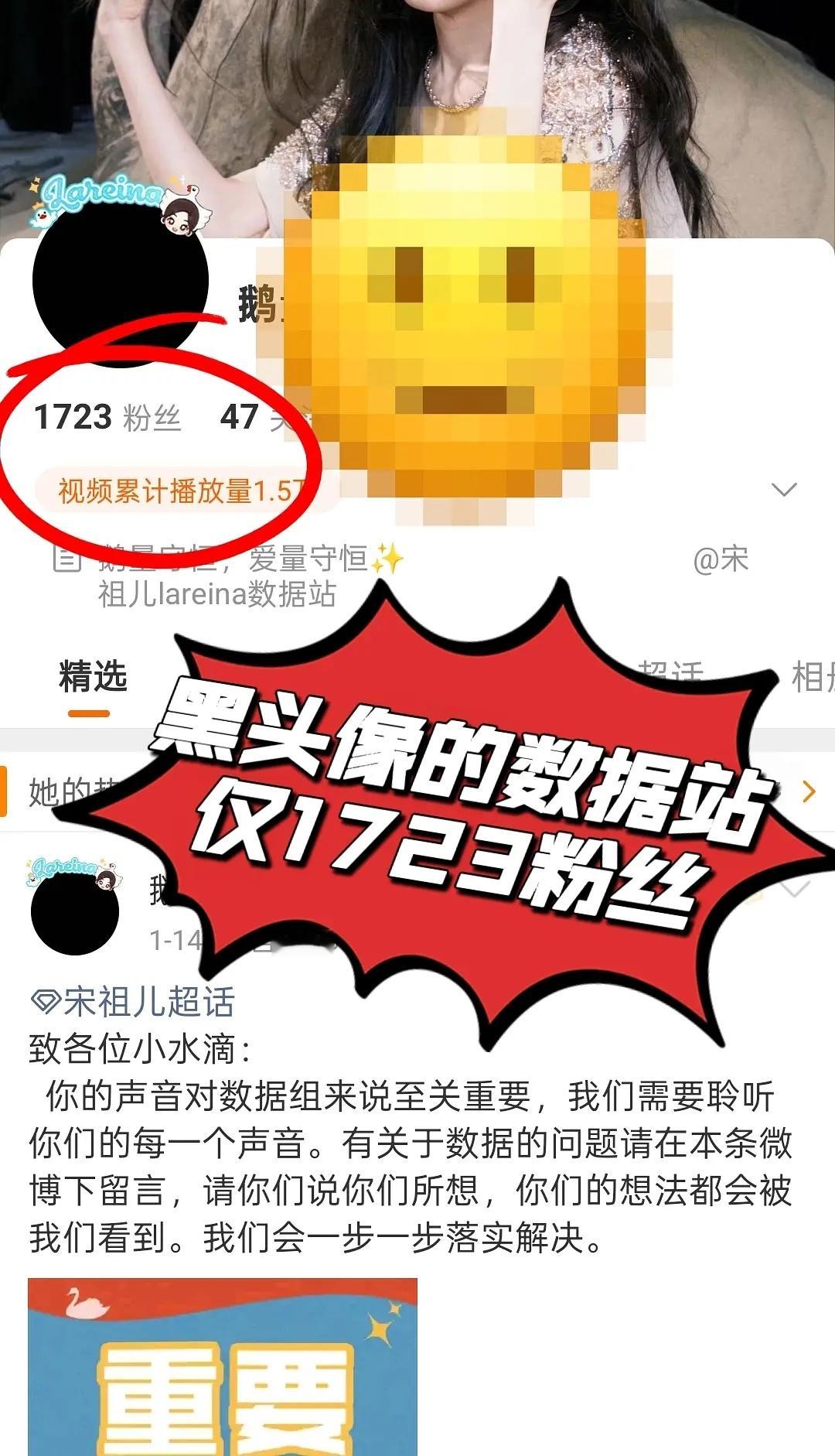 宋祖儿后援会暂停运营这几根丝就别闹了，刚开始看到后援会集体黑头像，以为什么大事。