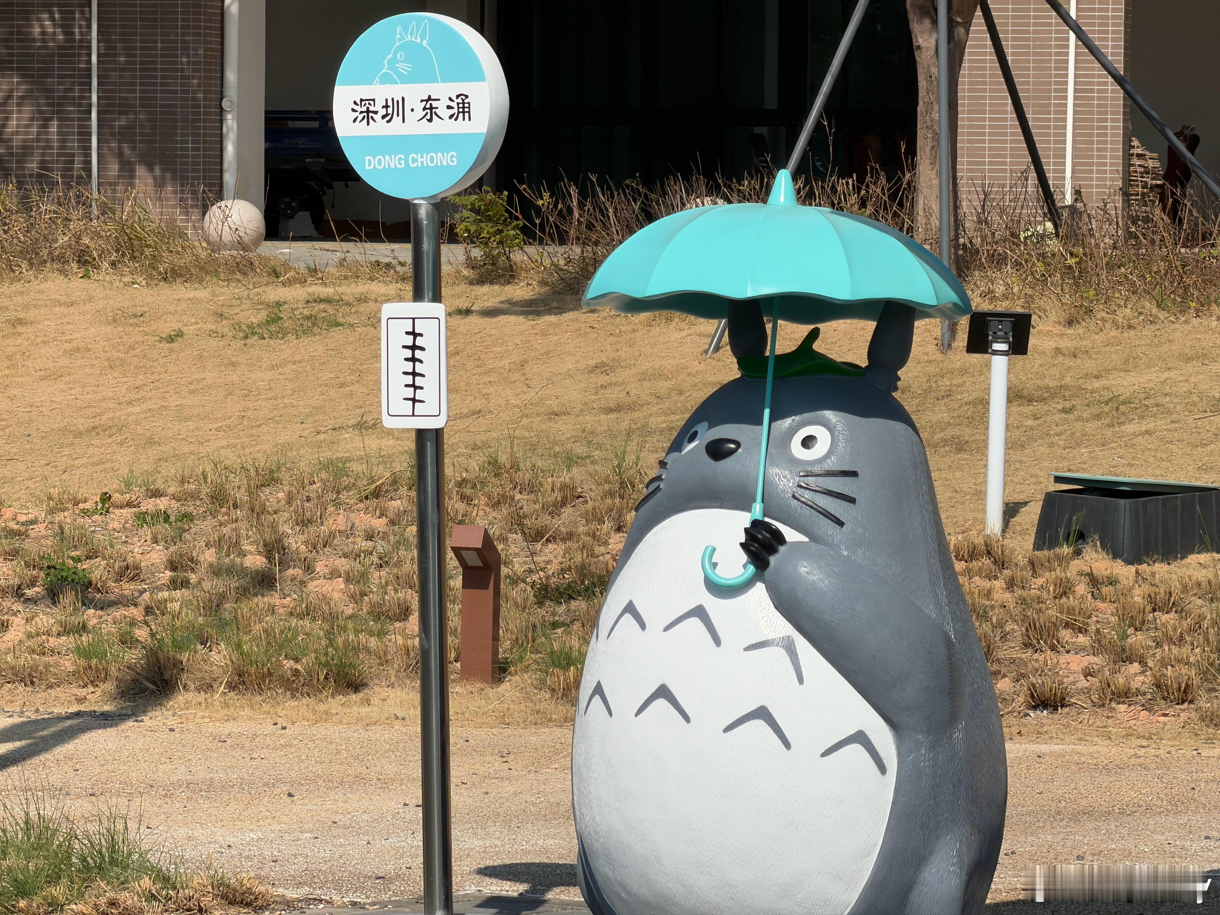 东涌徒步偶遇龙猫(没下雨打什么伞) 