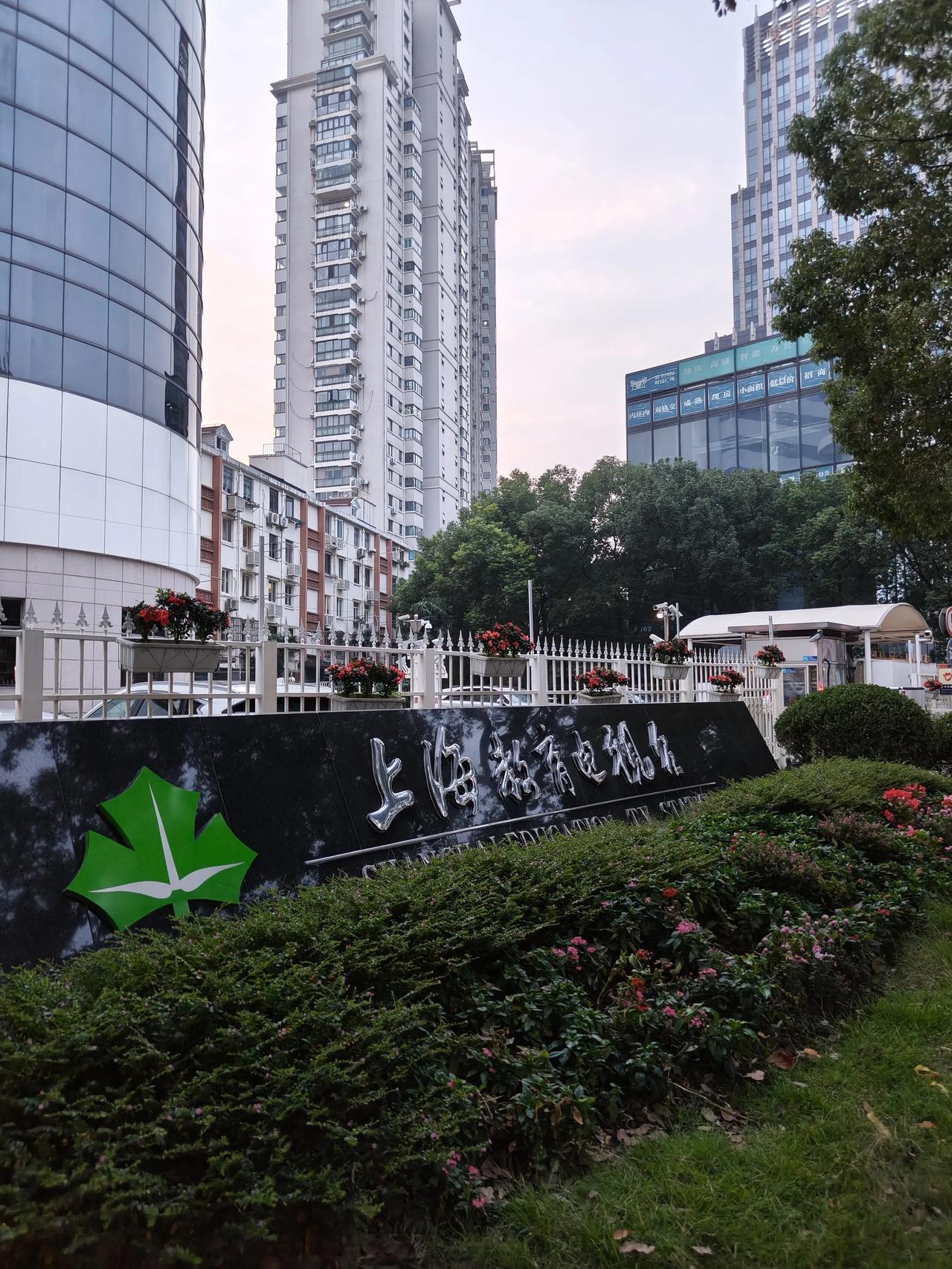 树叶红了～🍁🍁🍁🍂🍂🍂

周末散步随手拍实景图分享！