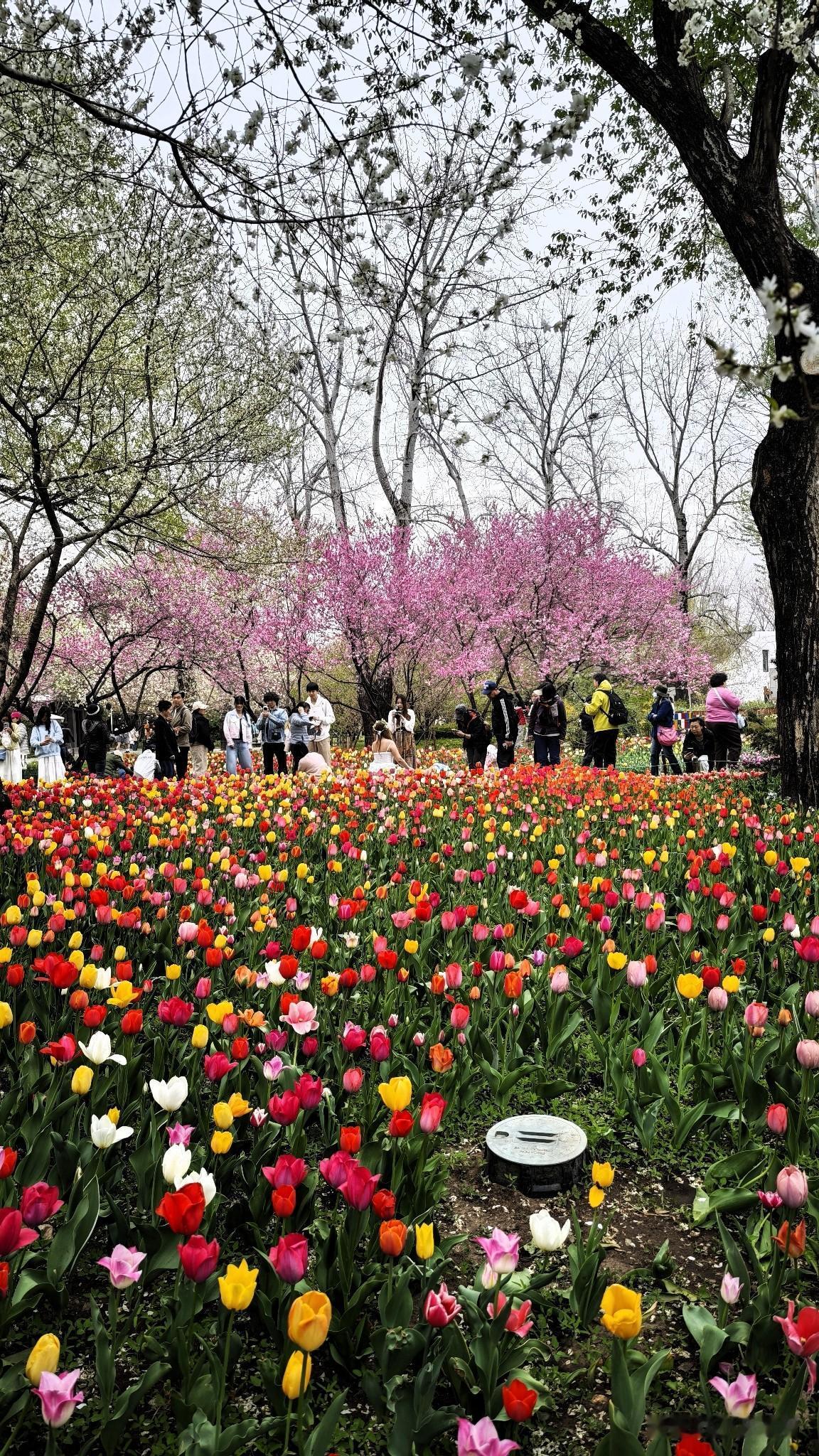 可以分享一张你相册里最美的风景吗以下图片是在国家植物园拍的风景，我认为是今年相册