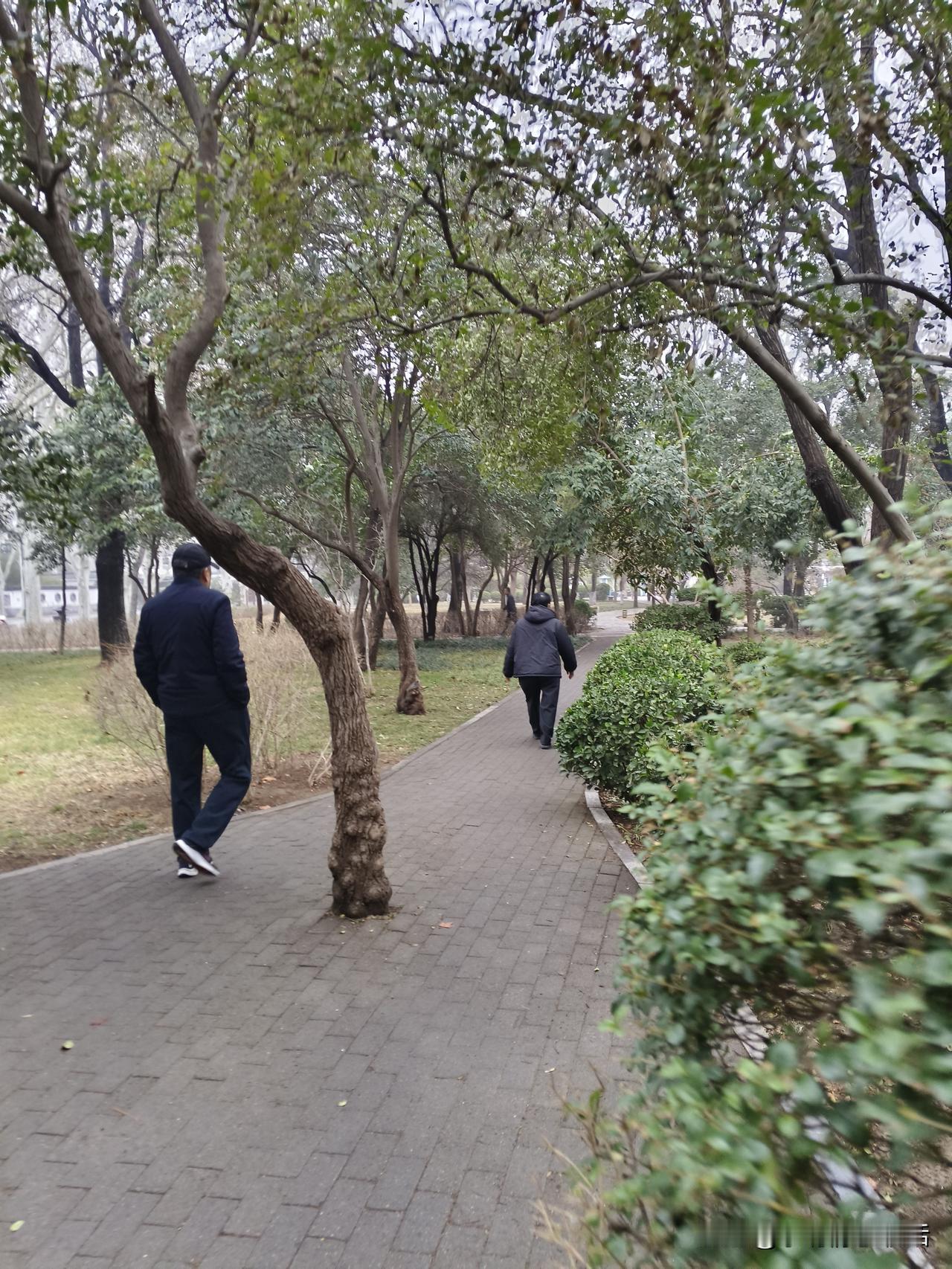 春日生活打卡季