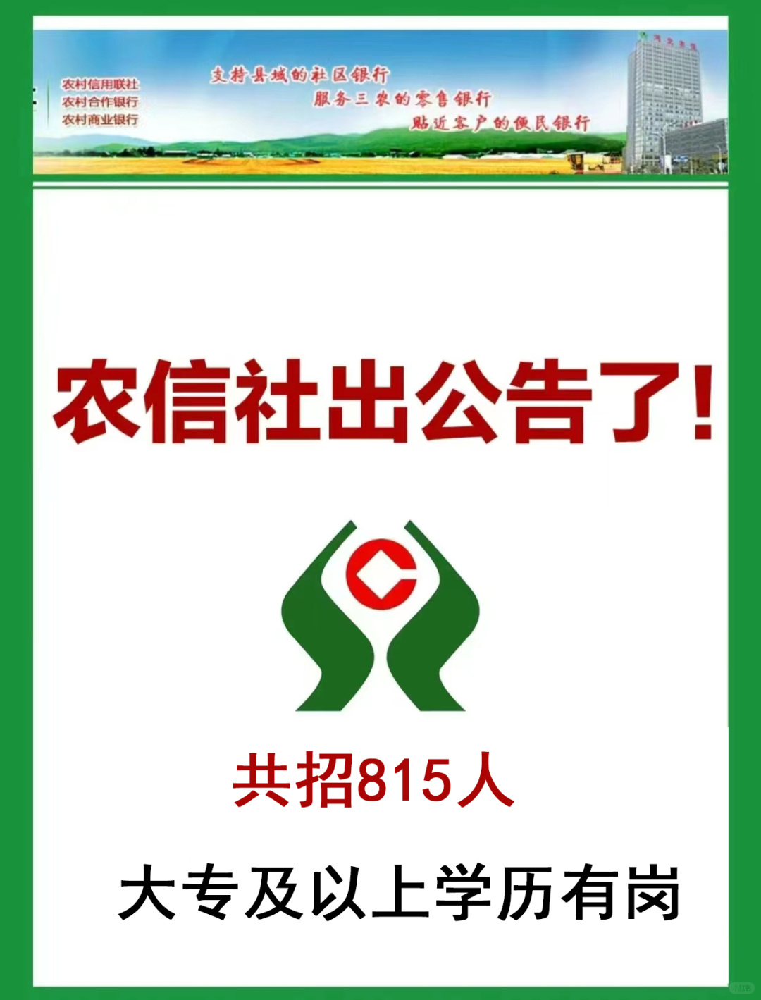 农信社公告已出，招815人