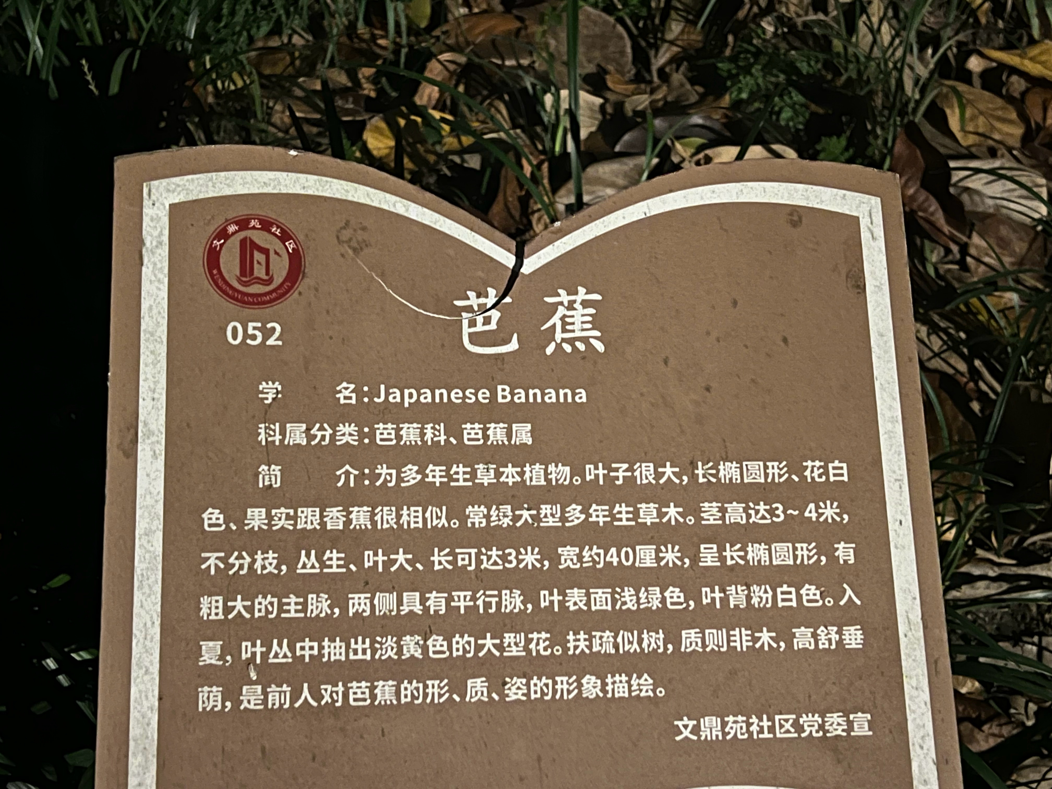 原来“芭蕉”英语是 Japanese banana…倒是很好记[偷笑] 