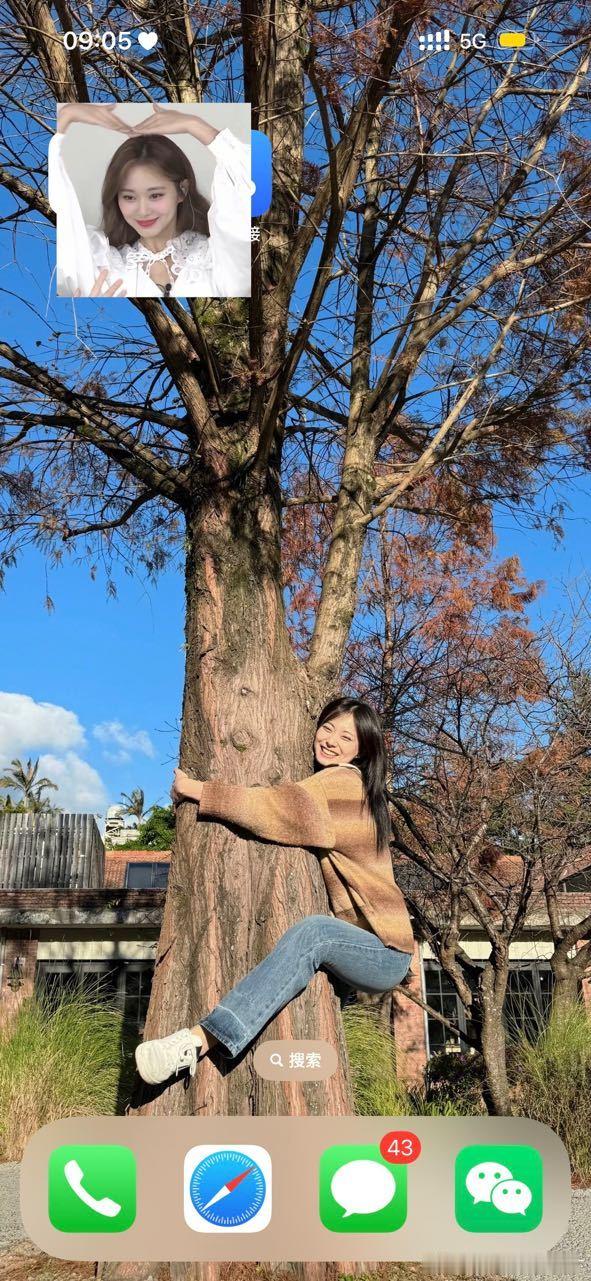 【1499号来信】想看看大家的壁纸[馋嘴]缟纻的壁纸长这样😋顺便想问问有没有宝