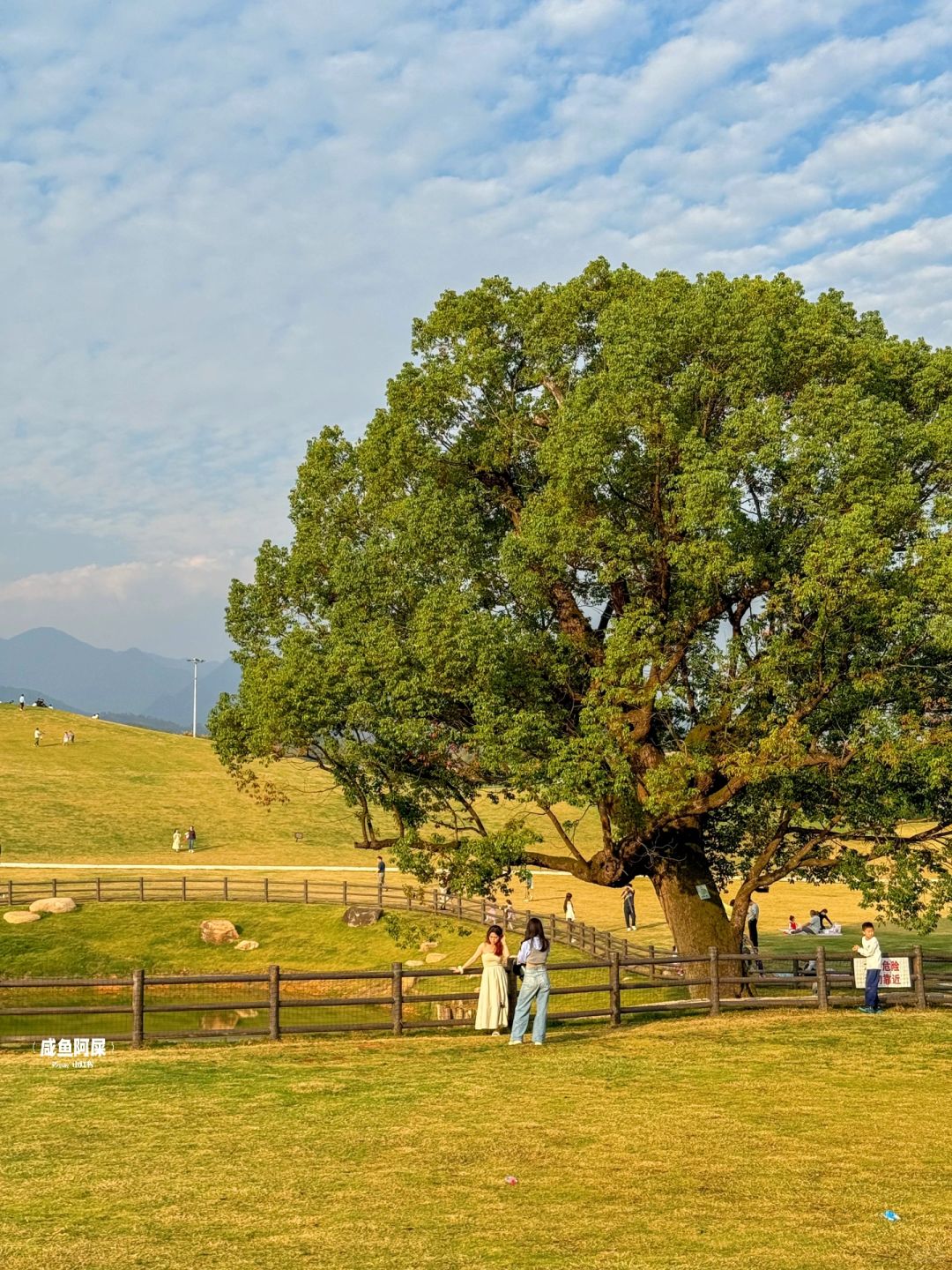 都以为我到新疆了！是我们浙江人的大草原！！