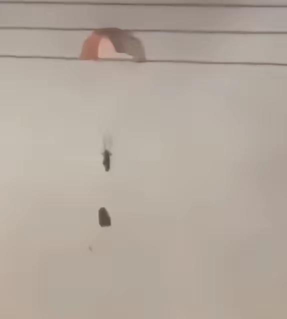 3月2日，美军一架F-15E“攻击鹰”双座战斗机在科威特上空疑似被击中起火。随后