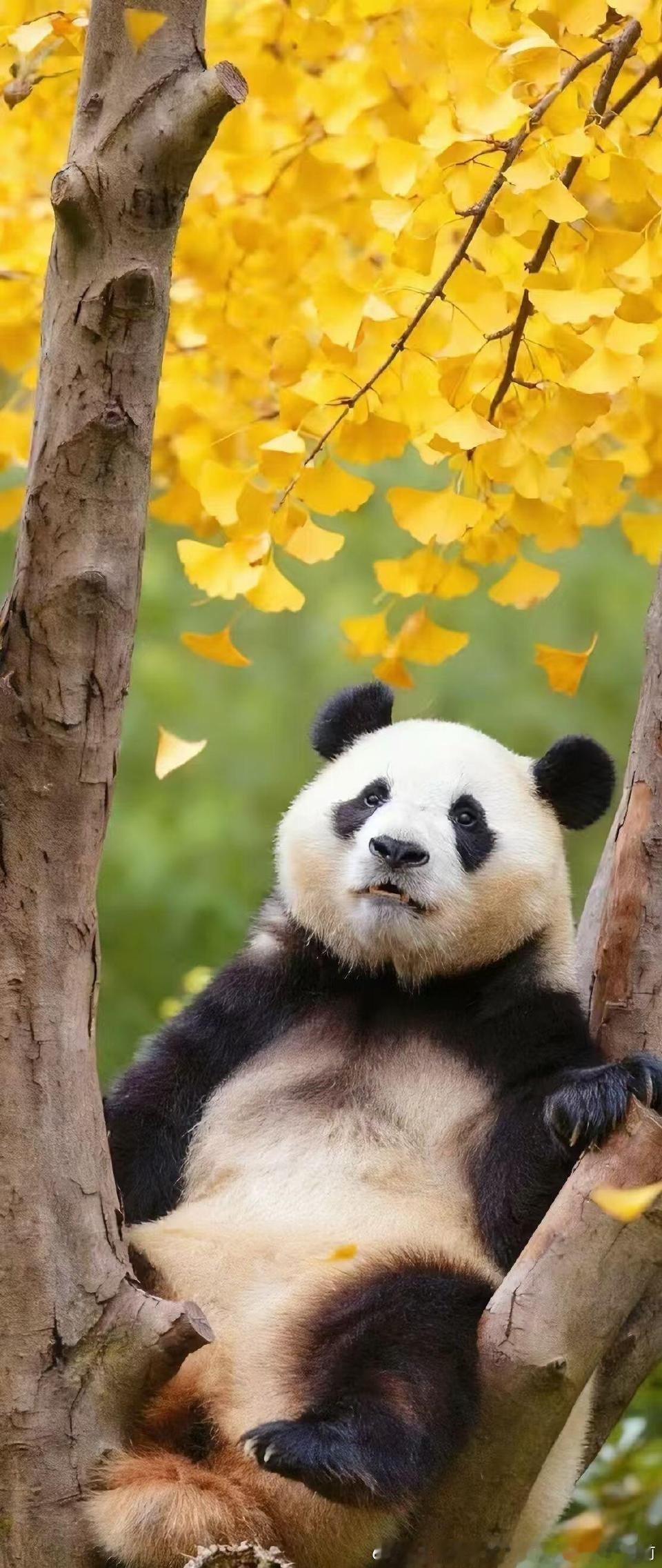过去的事，交给岁月去处理，将来的事，交给时间去证明，做好当下，才是最好的选择，午