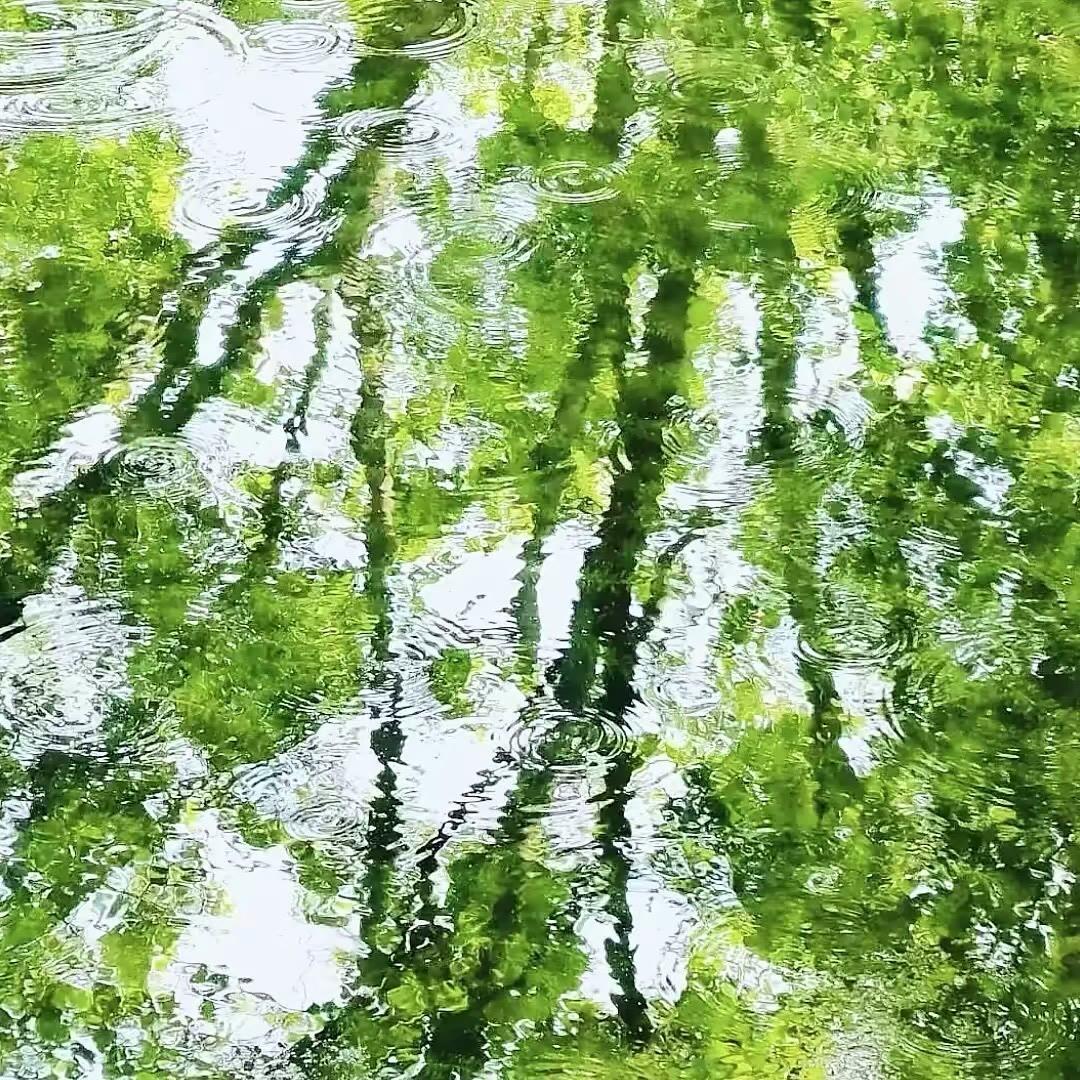 每日一善每日一善‬阳光‬‬信用 善良是一种选择，也是一种轮回，你今日付出的善意，