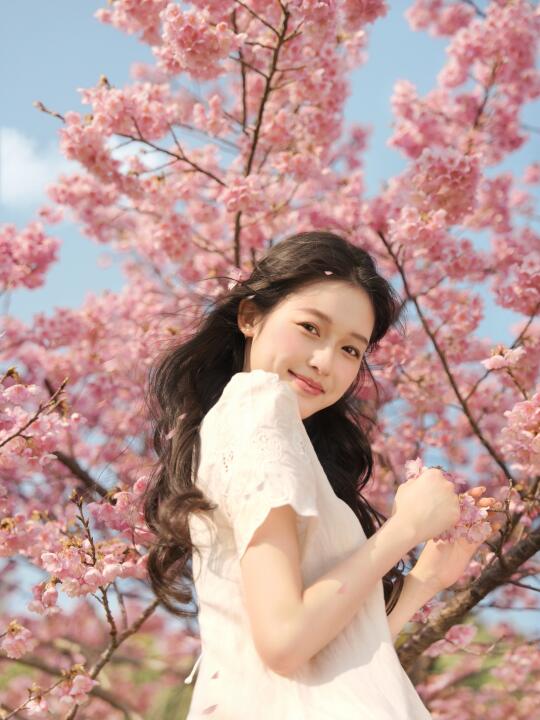这个春天和樱花来一场约会吧～