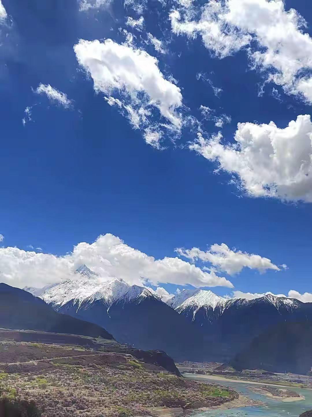 今年春天最想实现的心愿风雨不同路，日月共生辉，千里相向逢，咫尺陌路散！