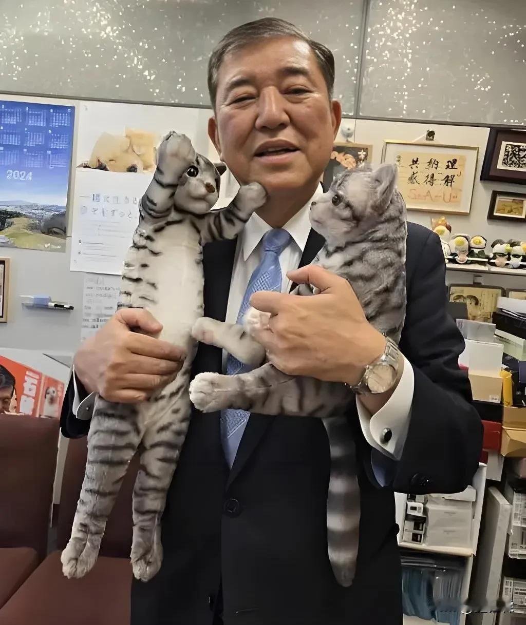 石破茂这算不算是搬起石头砸了自己的猫脚啊！

上任八天就宣布解散众议院！以为解散