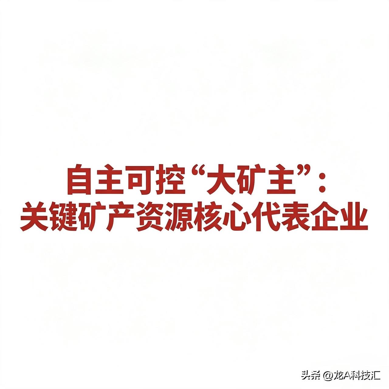自主可控“大矿主”：关键矿产资源核心代表企业

自主可控矿产资源核心代表企业汇总