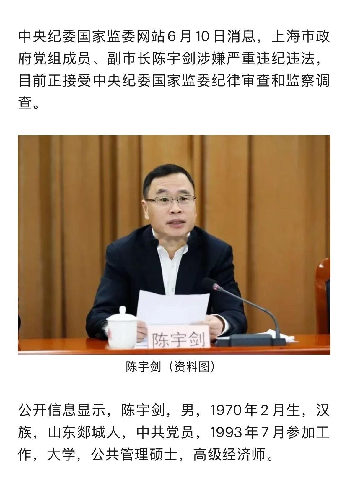 上海市副市长陈宇剑被查 