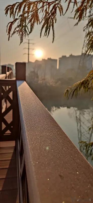 我蹲下身，指尖轻触路边的薄冰，凉意顺着指腹蔓延开来，却意外地让人心头一暖。原来冬