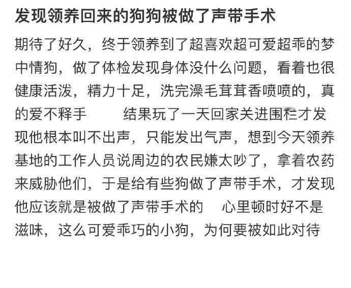 发现领养回来的狗狗被做了声带手术 ​​​