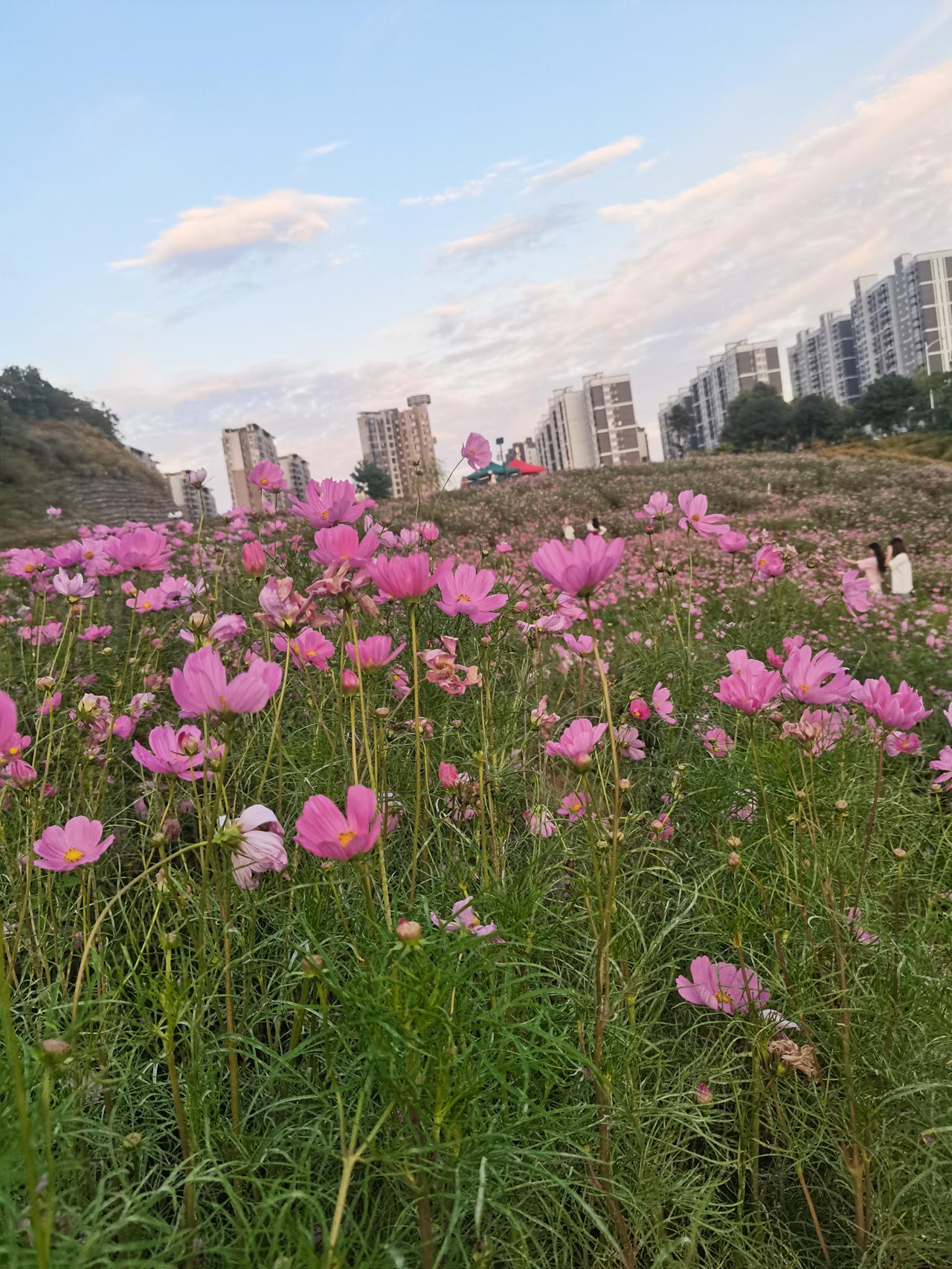 记录我的2026生活是一场修行！