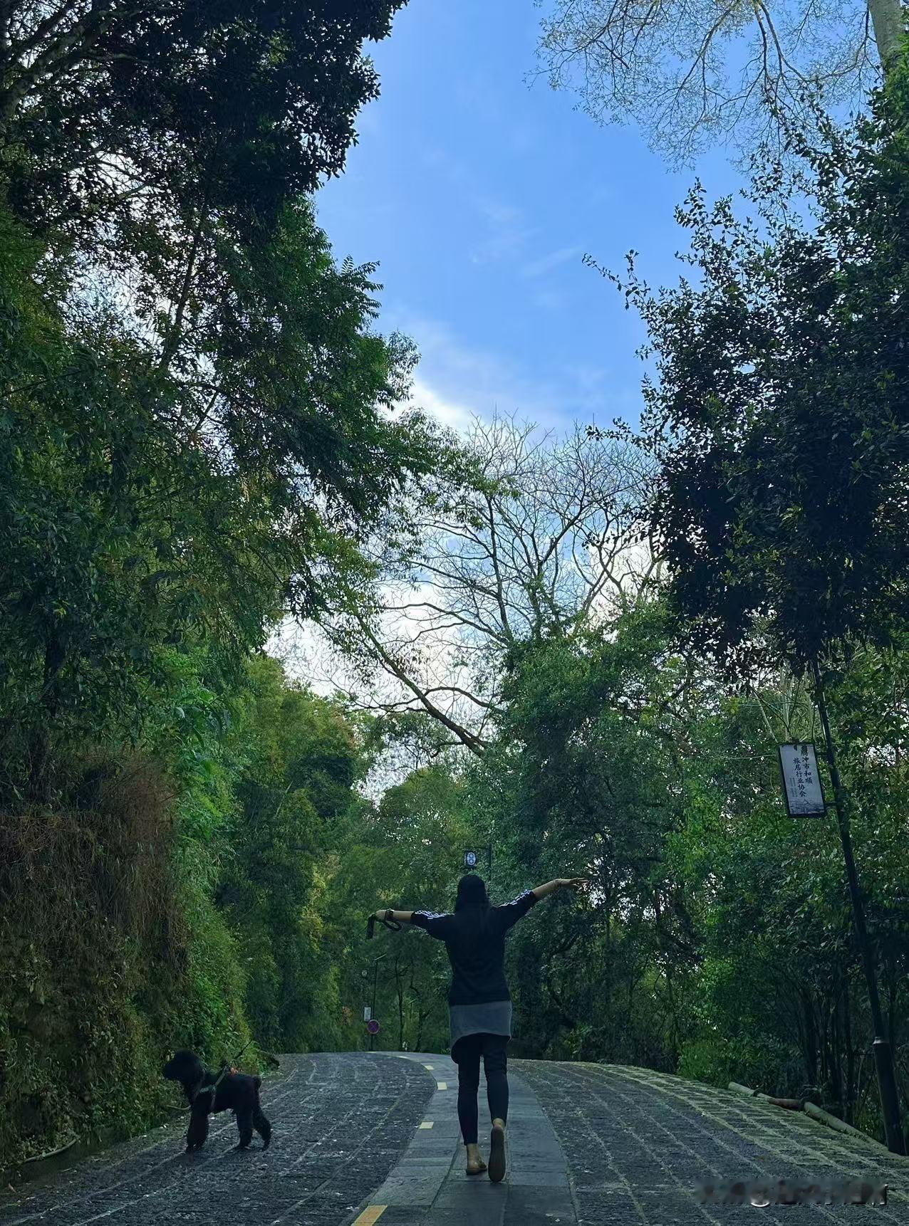 假期到了四号了，出去游玩的堵完了景区又开始堵在高速上了吧？
不是看笑话这样说，是
