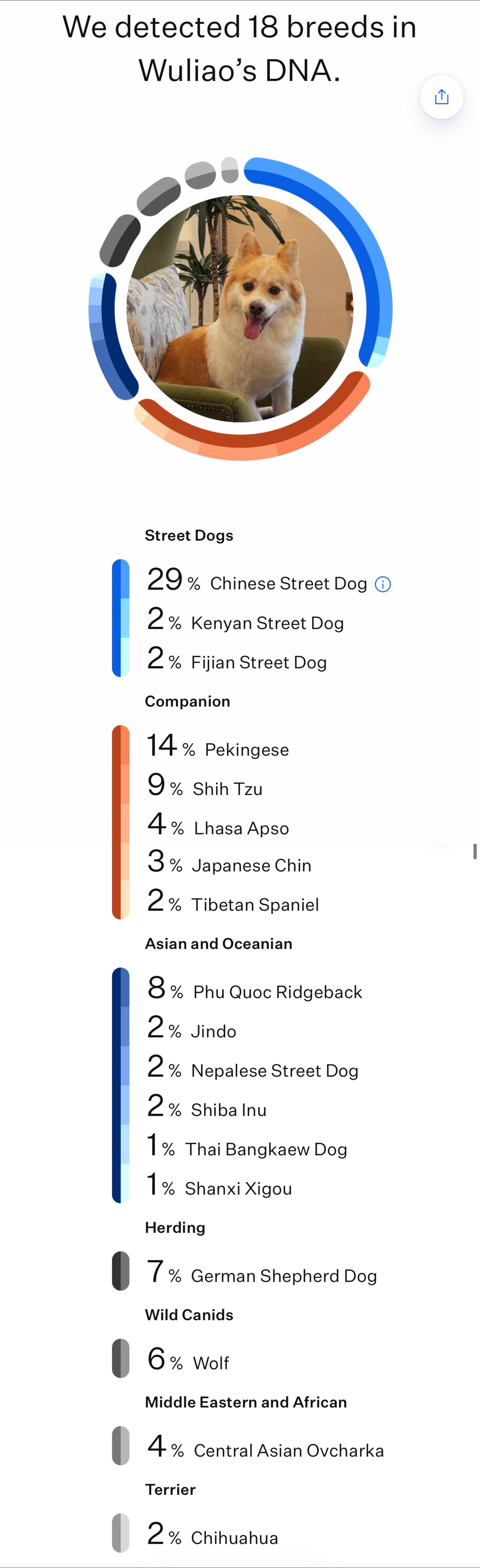 棍姑们！前些天给咱大宝做了基因检测，结果出来了！出乎所有人意料之外，他竟然完全没
