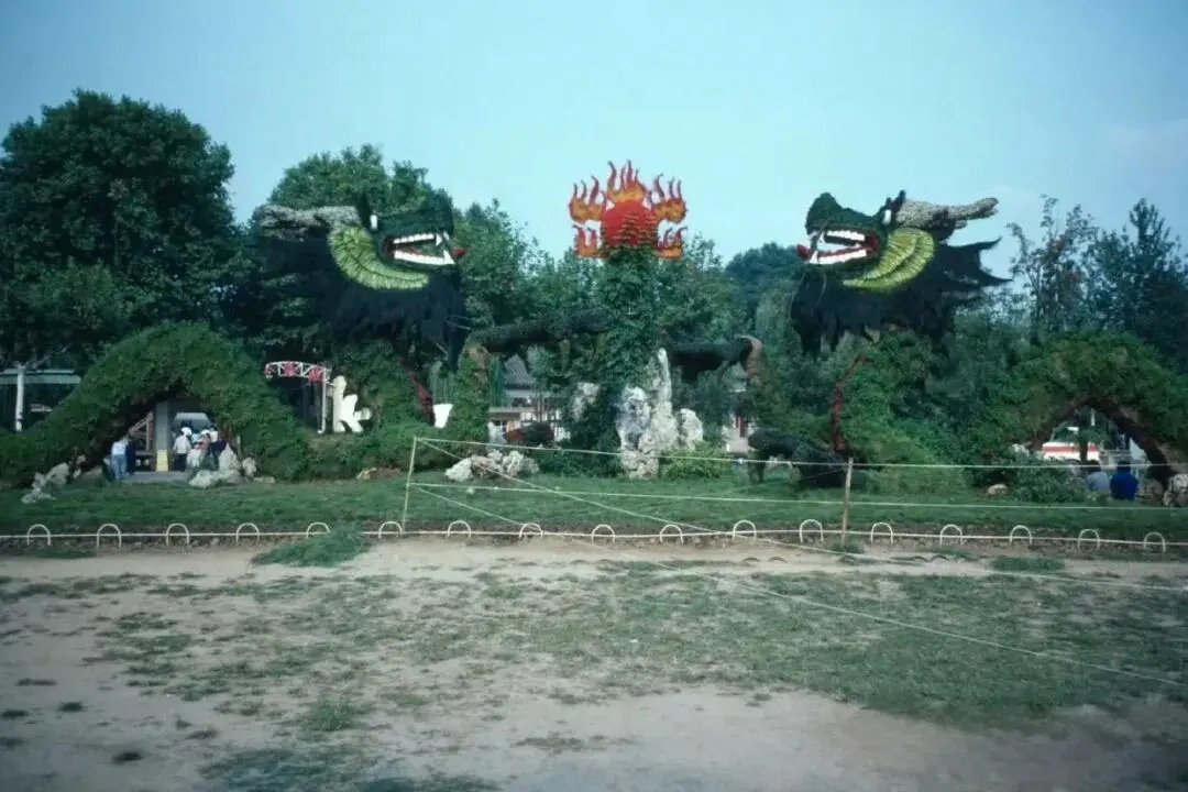1984 年，南京玄武湖菱洲动物园门前，“双龙戏珠” 草龙绿雕巍然矗立...