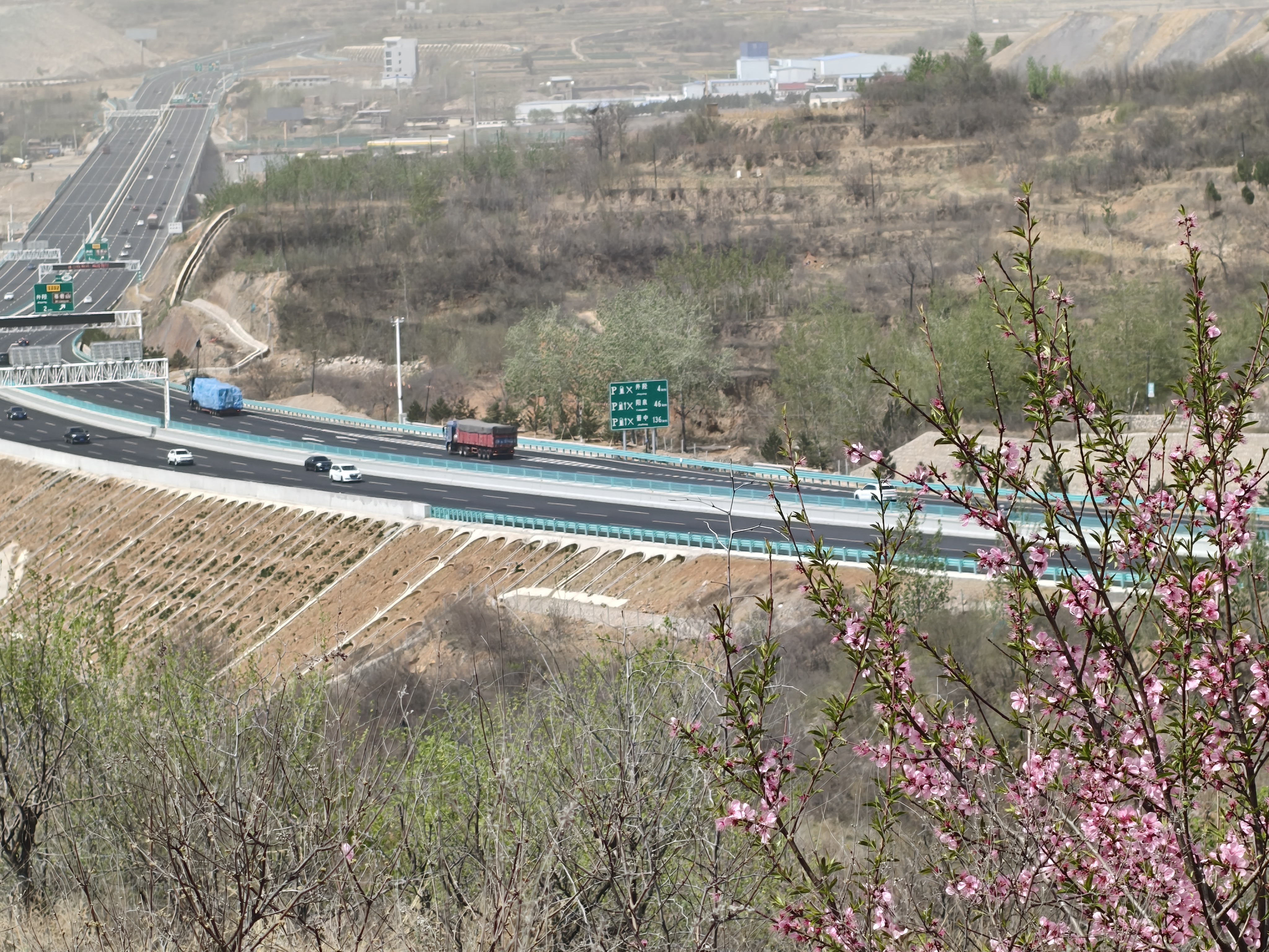 清明假期新业态解锁新体验我的清明游记 高速上车不多，正是山桃花盛开的时候，人活着