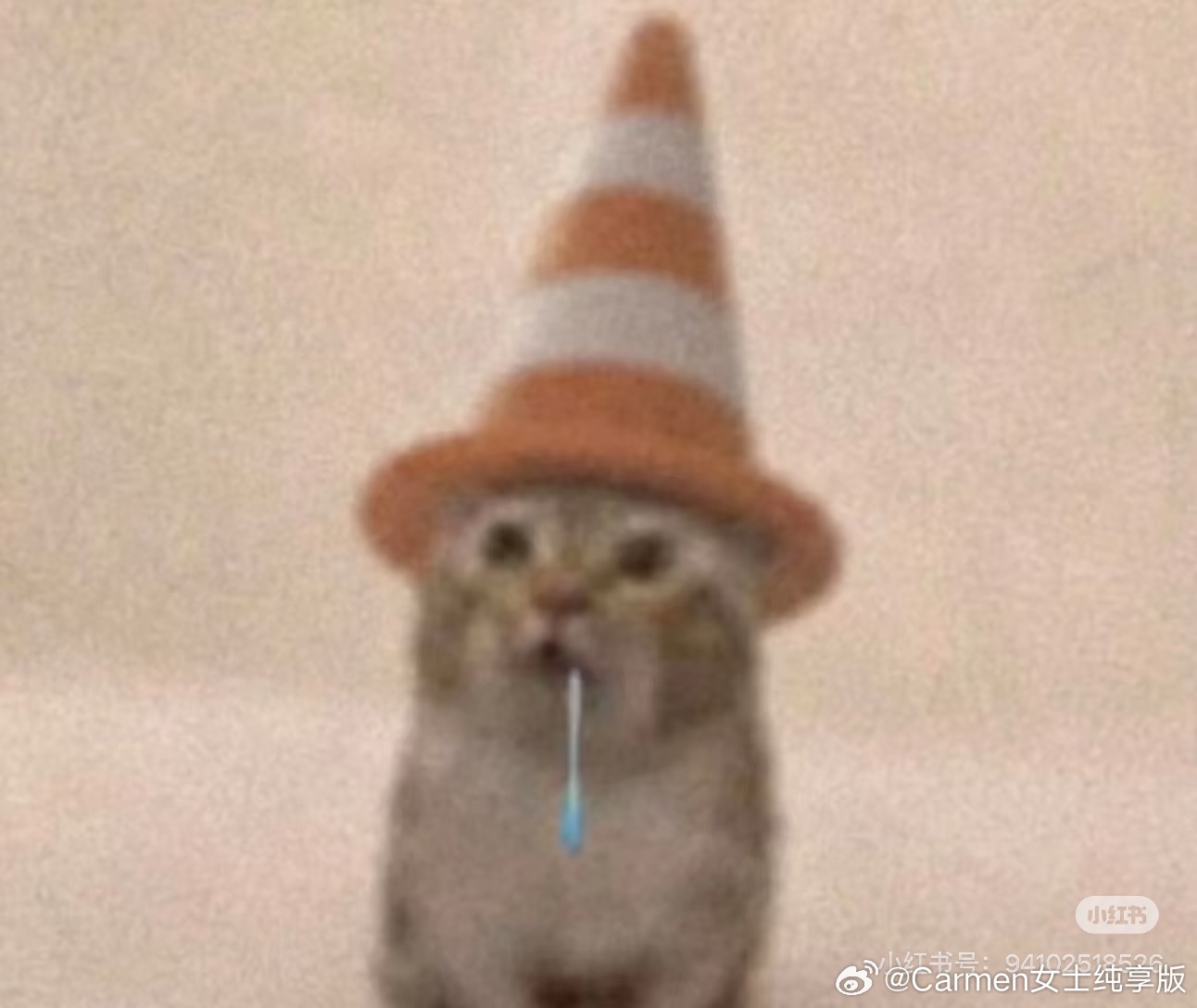 做梦也没想到多年前那个每天想杀了全世界的我现在竟然成为了一个鸡汤博主。我只能说…