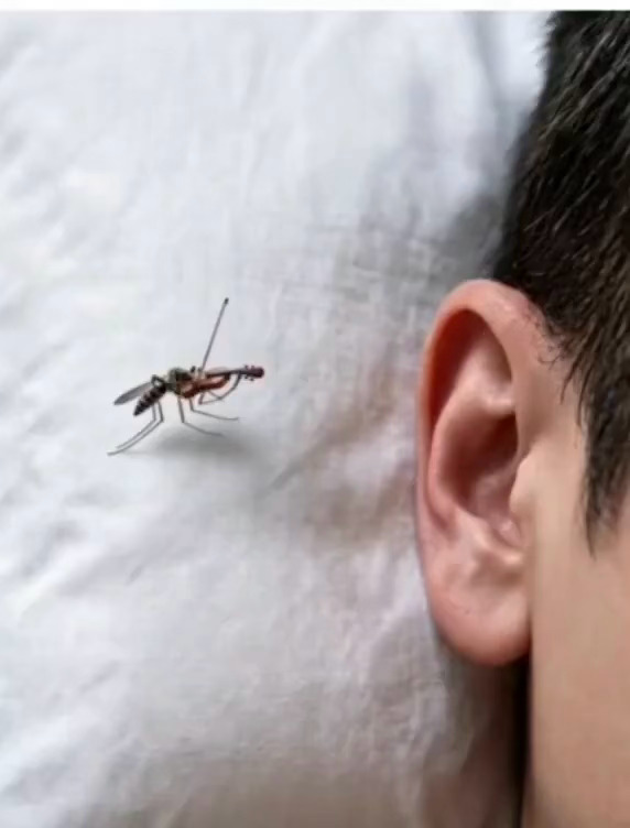 晚安玛卡巴卡一首小夜曲