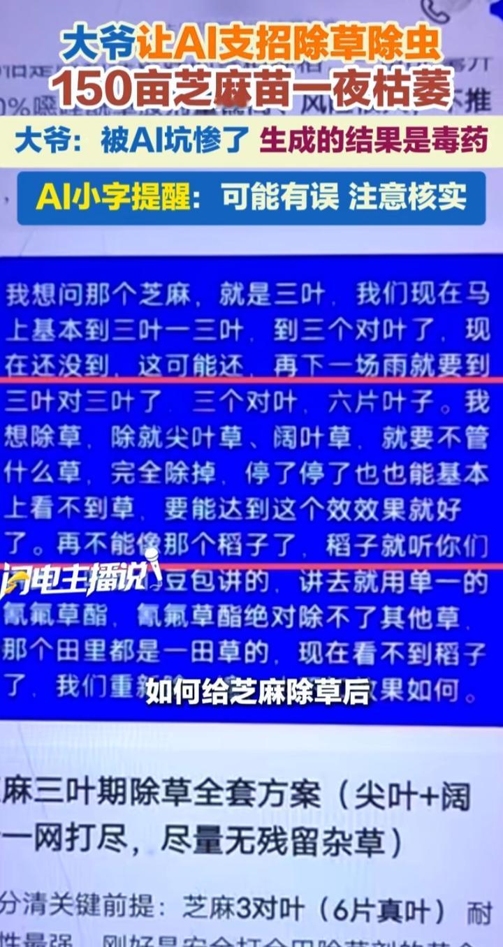 150亩芝麻一夜枯萎，吴大伯盯着AI的回复，手在抖
吴大伯站在田埂上，看着150
