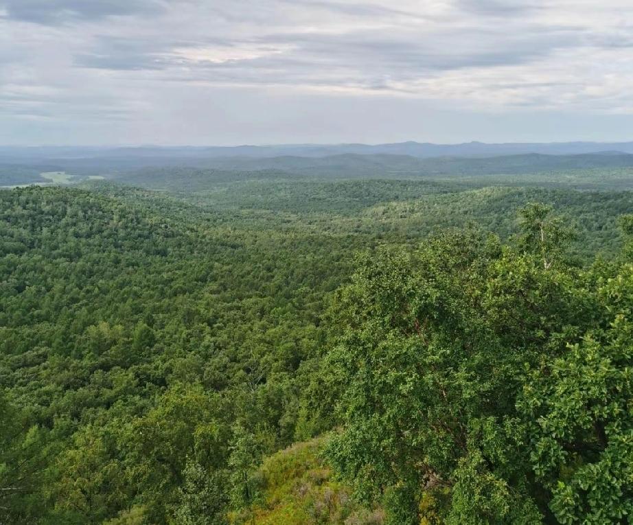 四方山记
 
雪落时，你把956米的脊梁
铺成一片洁白的坦途
西四方台的松林裹着