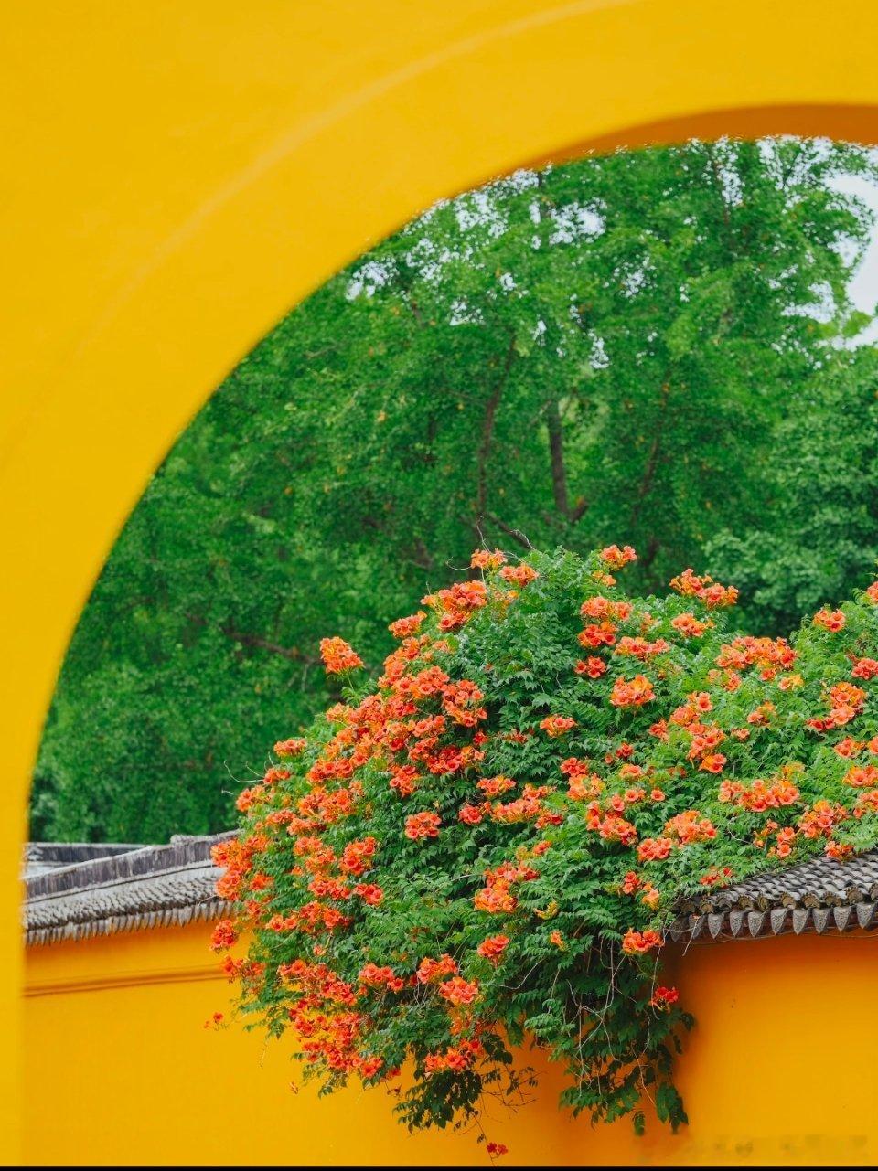 东方之美一墙一瓦，皆是韵致~ 