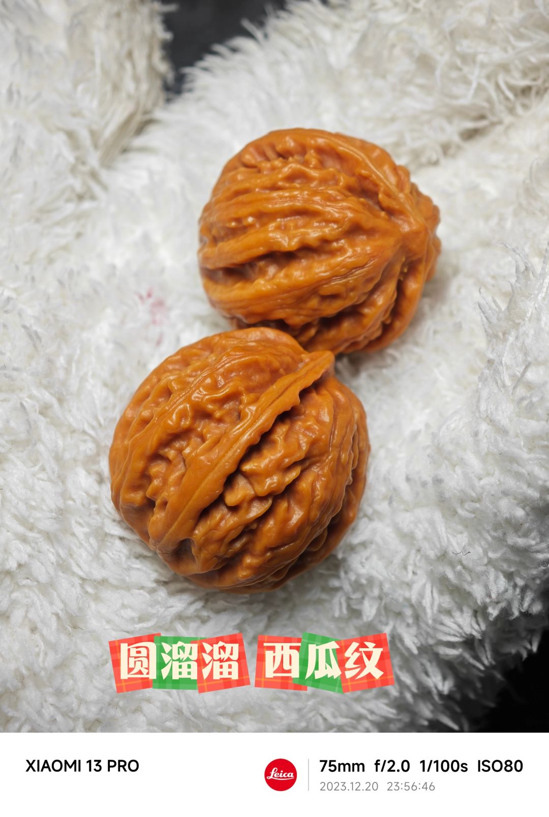 NO.335 泡药小核桃还挺得劲
