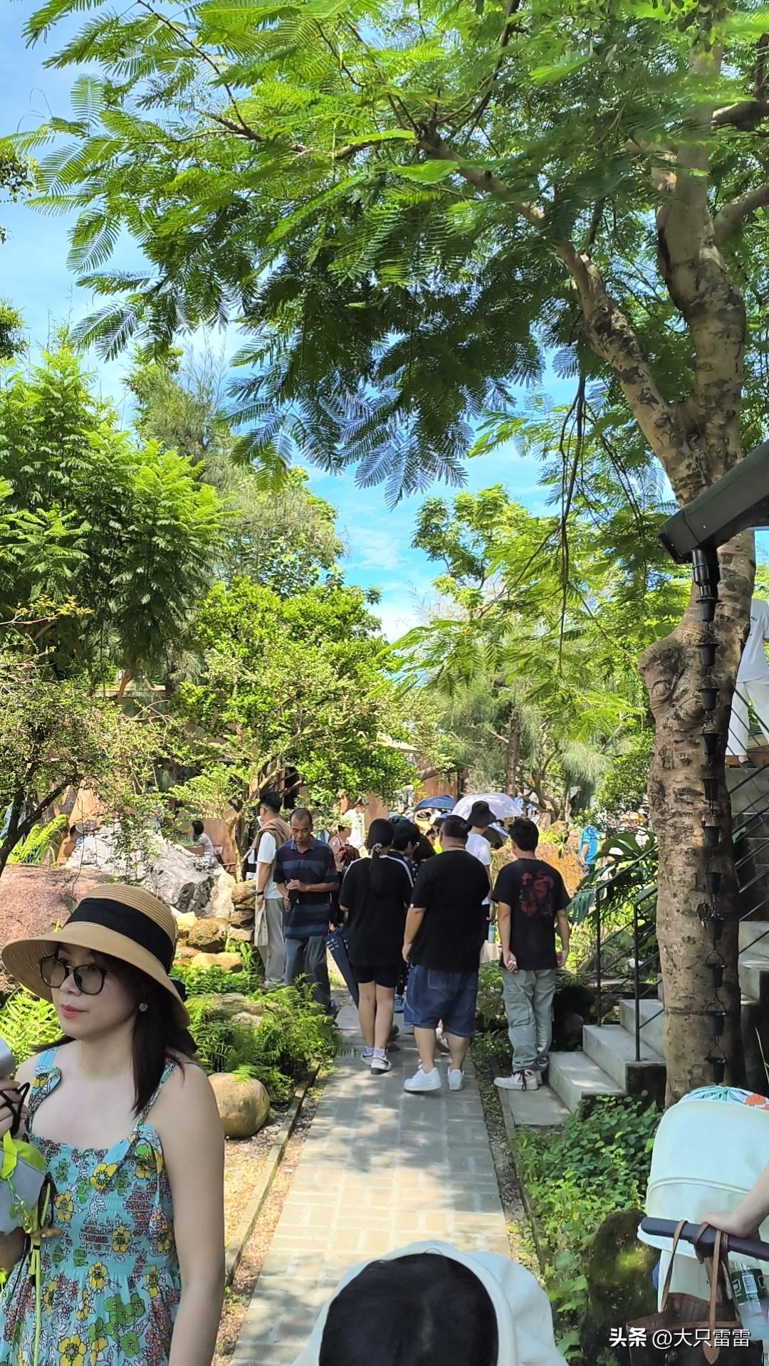 阳江埠场镇有两个地点是外地人比较多的。
一是国画大师关山月故居，主打乡村旅游；