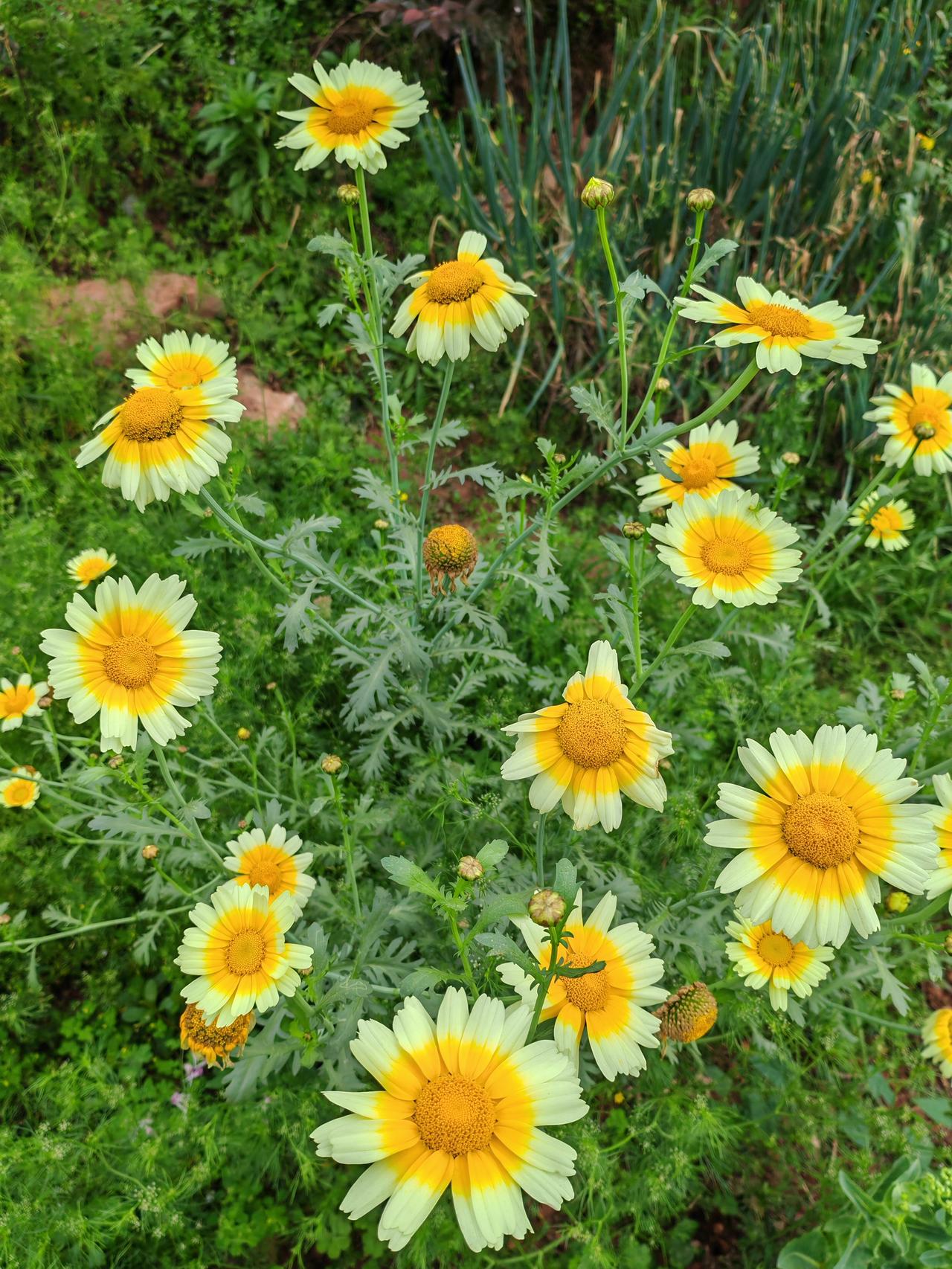 在坟山进山口就有检查岗，进山车辆均要检查有没有带纸钱，还有小广播播放文明祭祀的宣