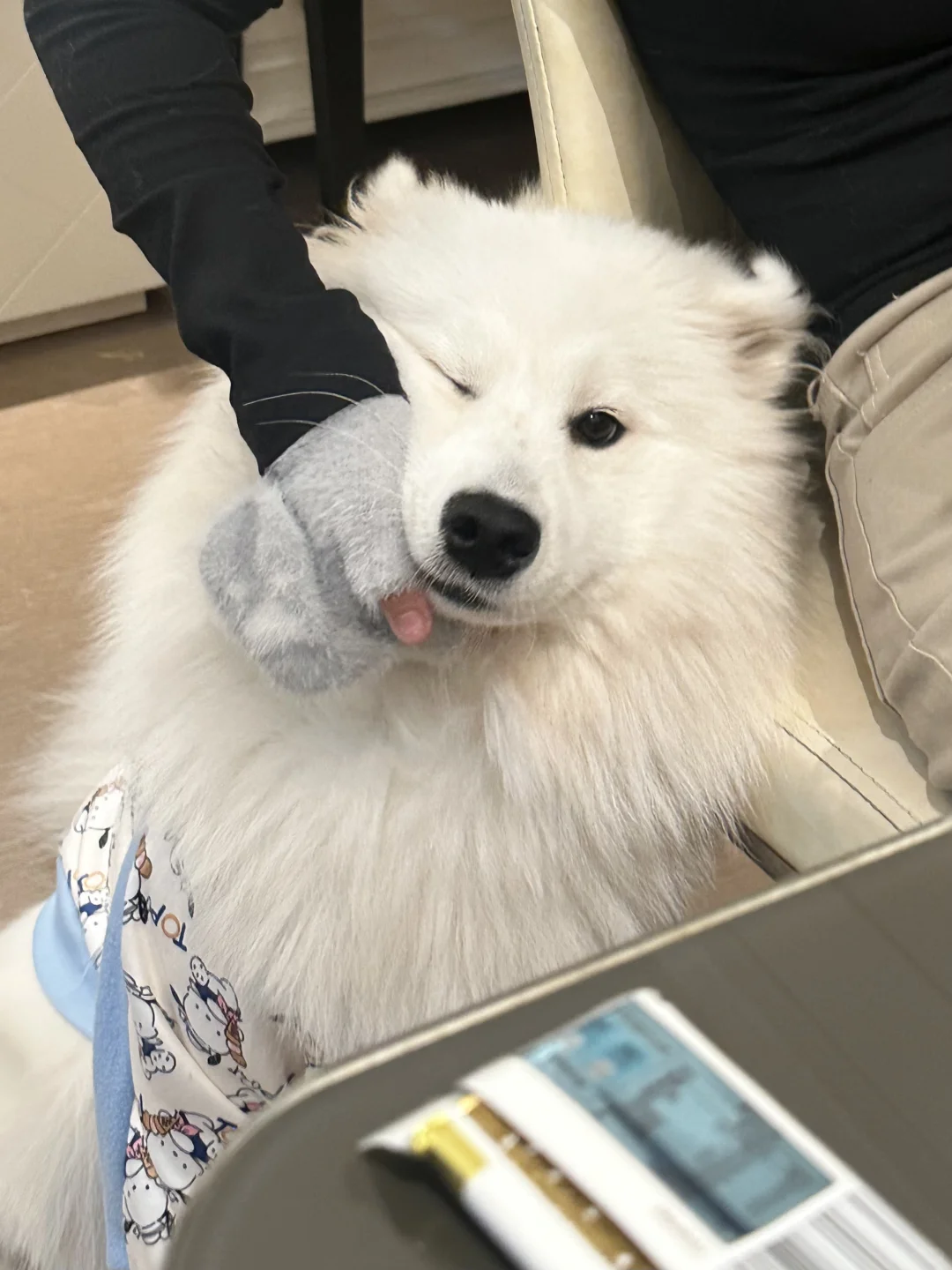 人，你可以摸我