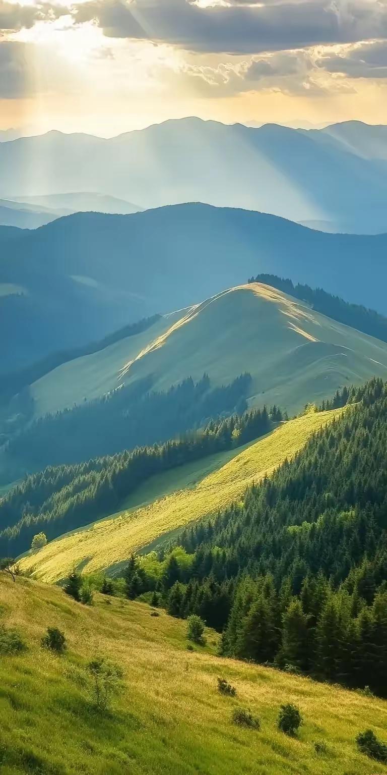 一位著名律师说:
“去派出所报警，遇到民警态度很不好，比如警察冲你大声嚷嚷，还用