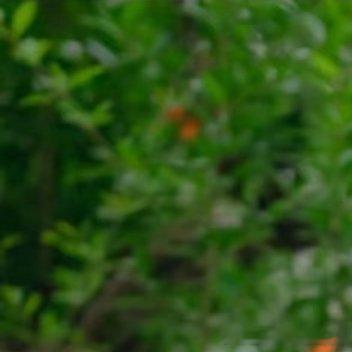 微博是给我推流了吗？踩小人这么受欢迎？阅读量不涨，只是转发？我真的看不懂