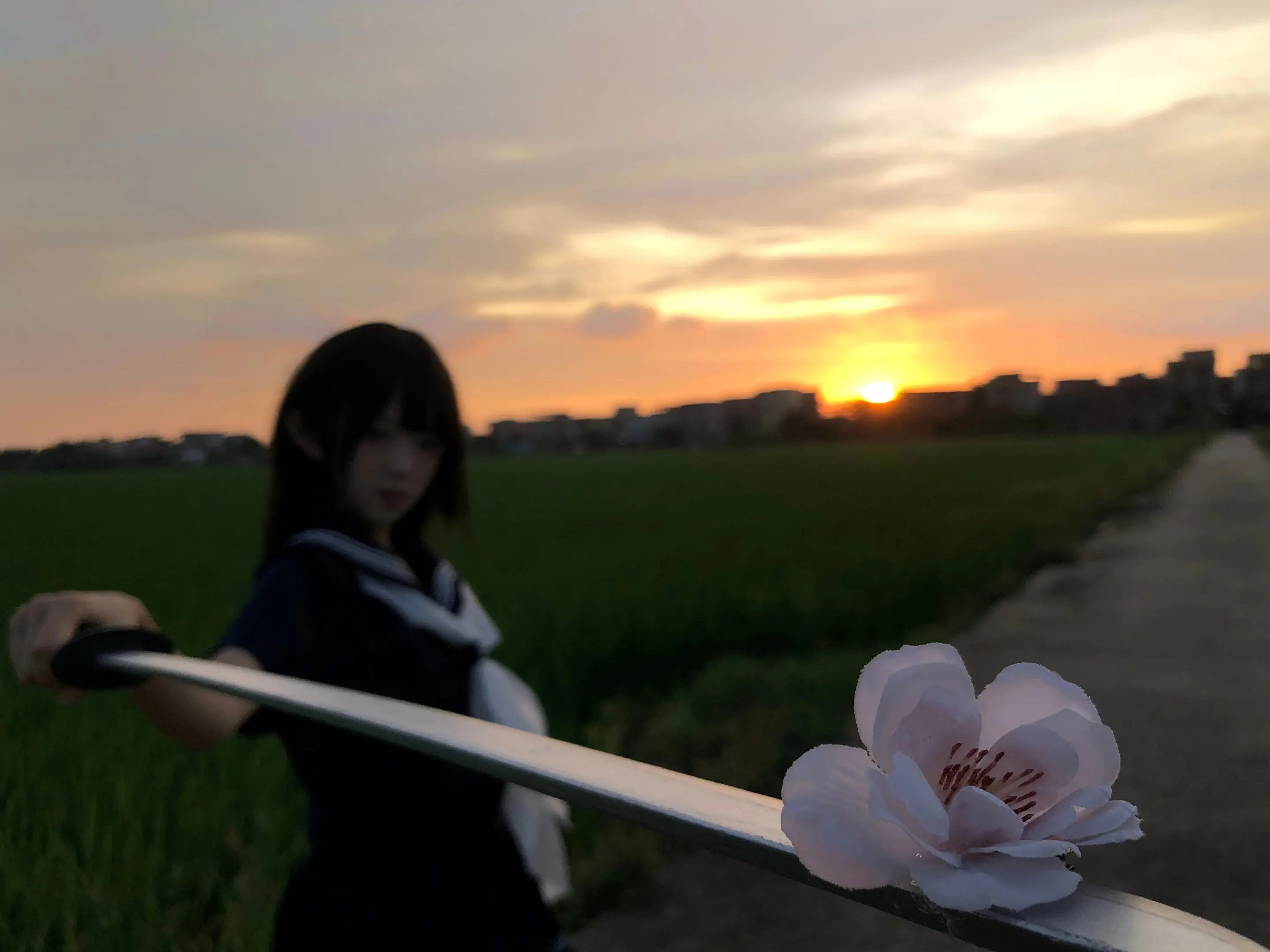 就命运而言，休论公道